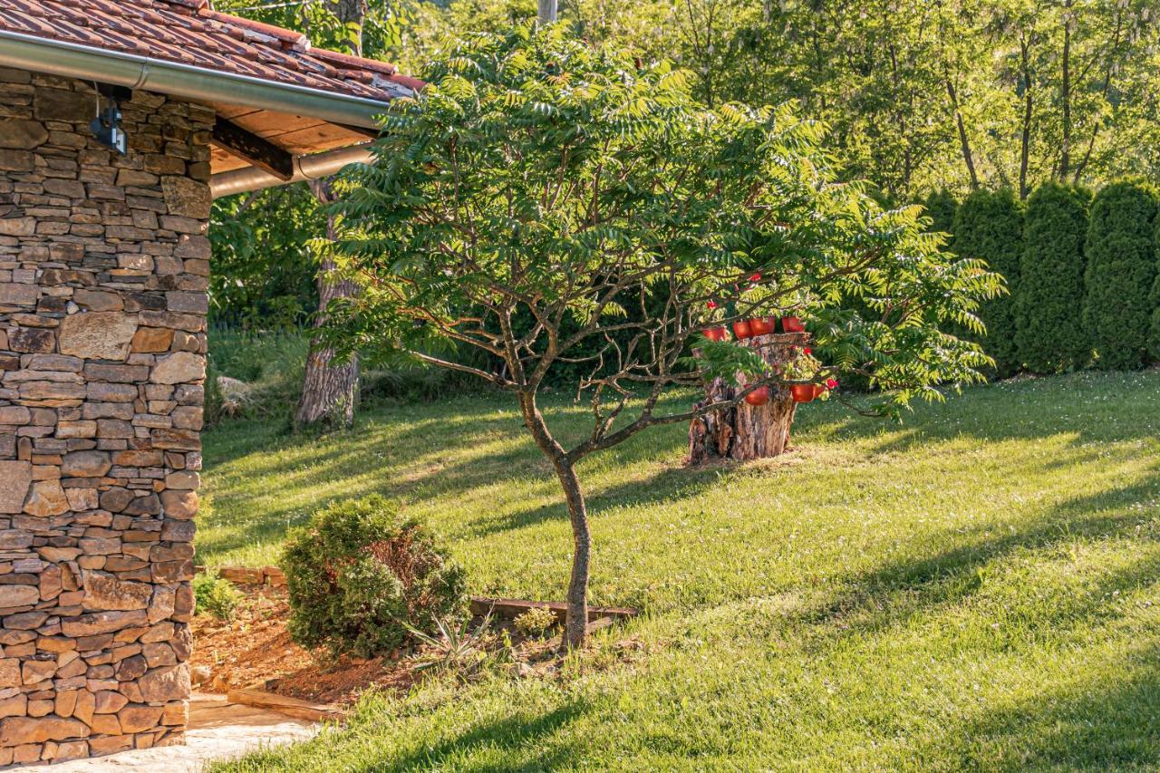 Apartmani Lunija Gornji Milanovac Exterior photo